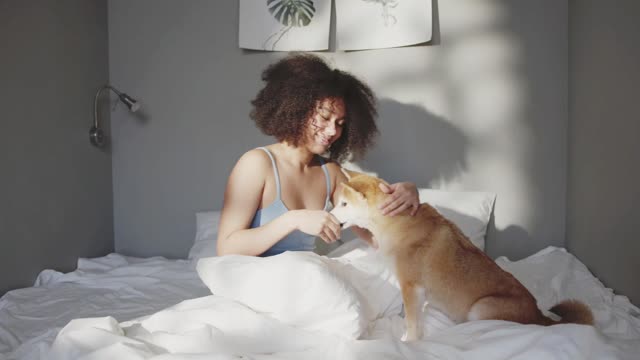 A Beautiful Girl Caressing The Cute Dog