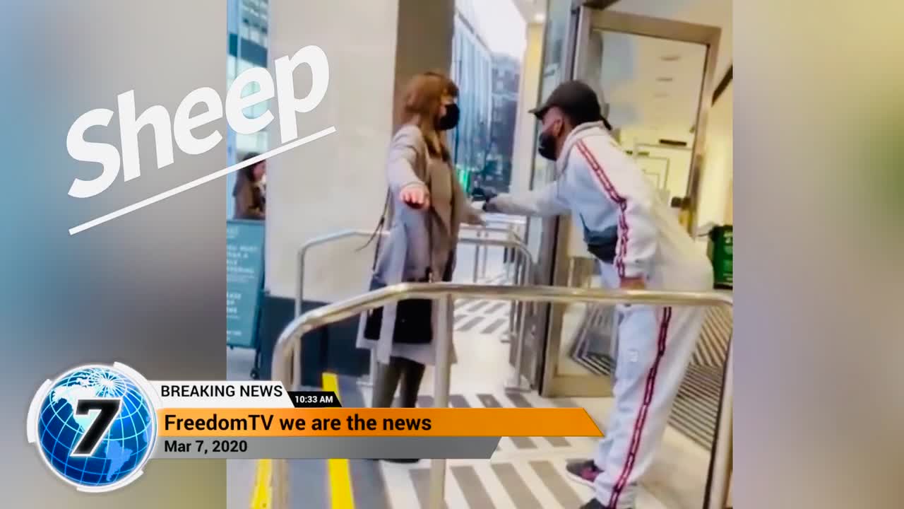 Sheep line up and do as your told to.,