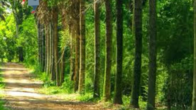 Como eu acho que é/como é