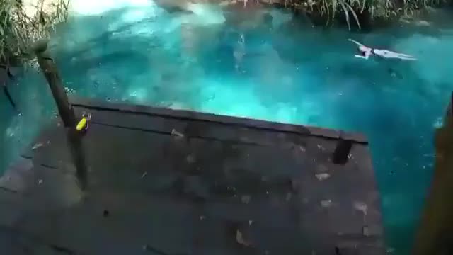 Hidden paradise in hawai