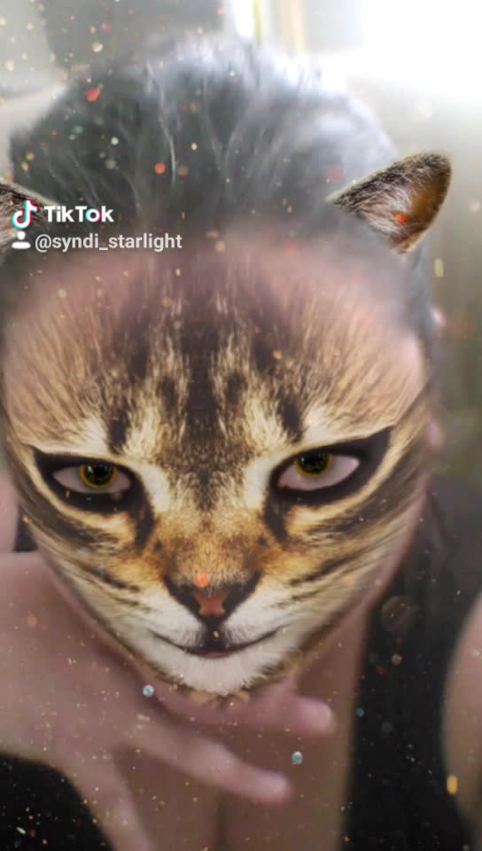 Thank You Highland's County Humane Society