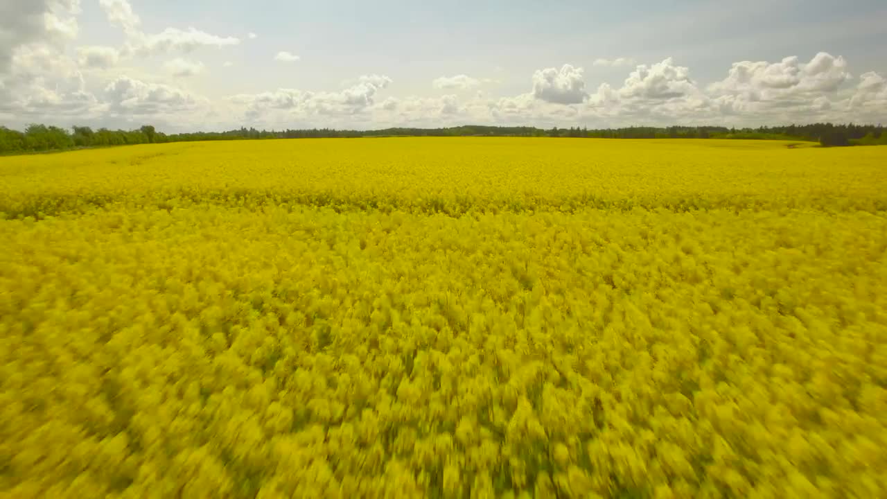 Blue sky and fields