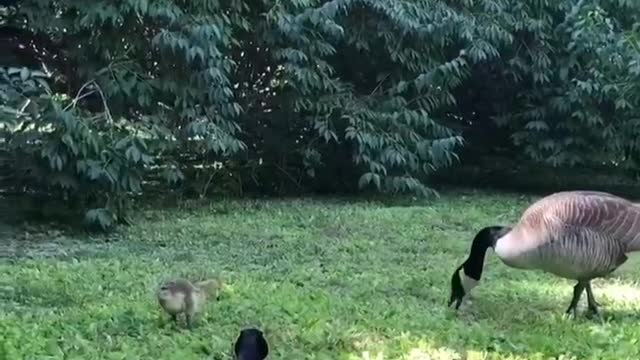 A family is hunkering down