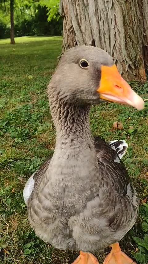 I'M NOT FAST ENOUGH FOR LOUISE😂