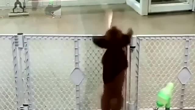 To dance