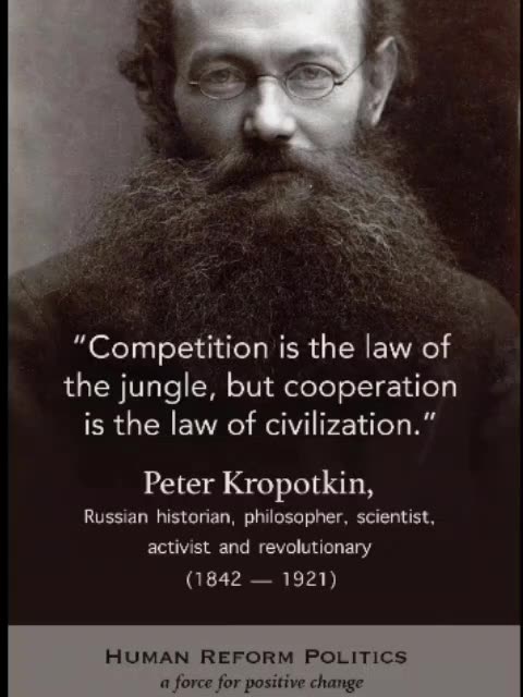 Competition is the law of the jungle...