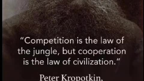 Competition is the law of the jungle...