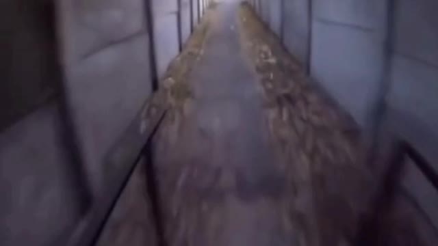 Algo de errado não está certo parte 19