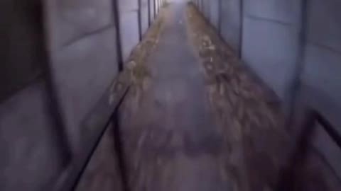 Algo de errado não está certo parte 19