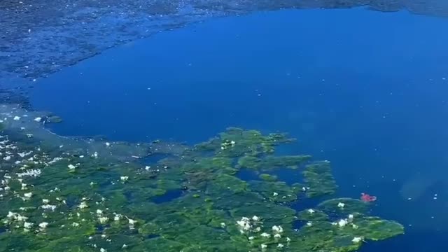 Beautiful Nature
