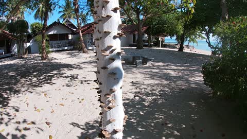 Mushroom pillar