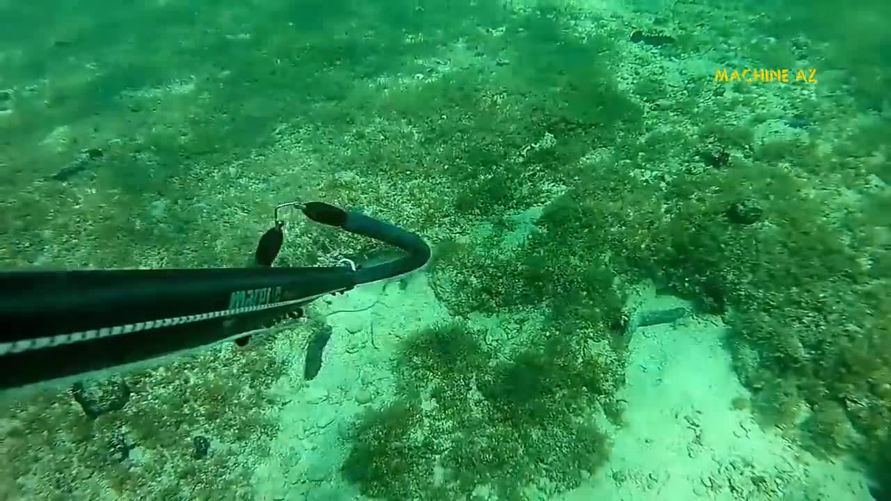 Amazing Skills And Very High Precision That Captures The Skill Of Cutting And Processing Large Octopus