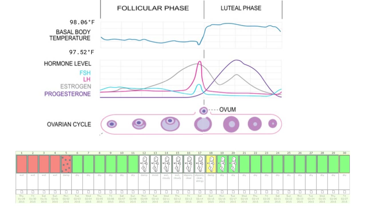 Cycle Wise Hack Your Cycle L3: Love Lessons Pack (0145 Recap)