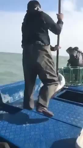 Salt water Eels Fishing video 🎏