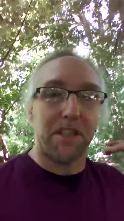 STL nutrition doc free plus shipping