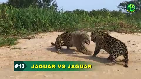 Fighting Moments
