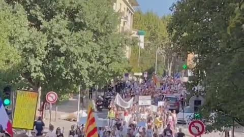 French Protesting 12 Saturdays IN A ROW