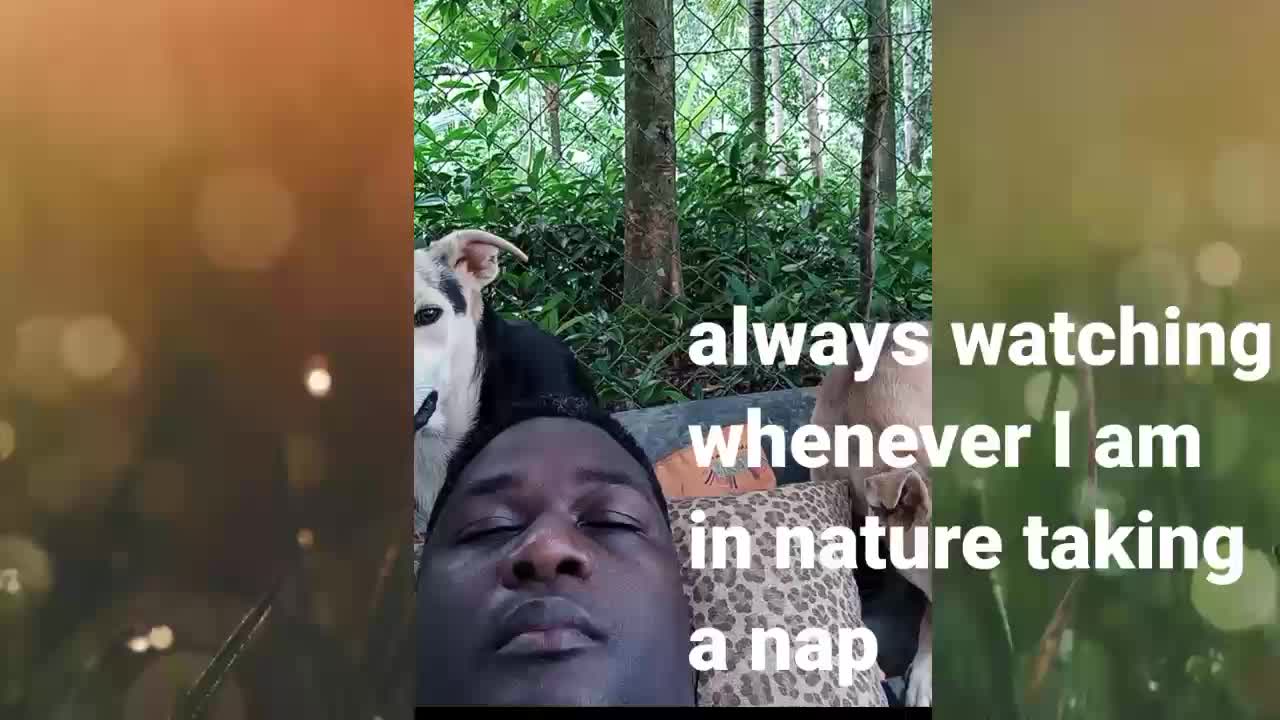 God watching while I sleep in nature.