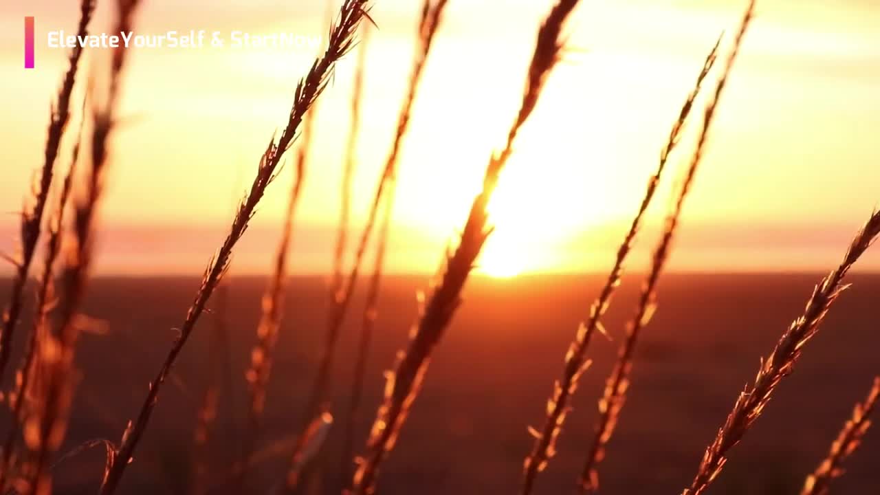 Change your life by doing this - motivation video 2022 | Lee Brown
