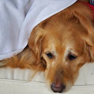 The Life of “RUDY “