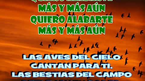 Quiero Alabarte - Maranatha