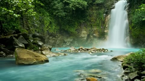 10 Most dangerous Animals of Amazon rainforest