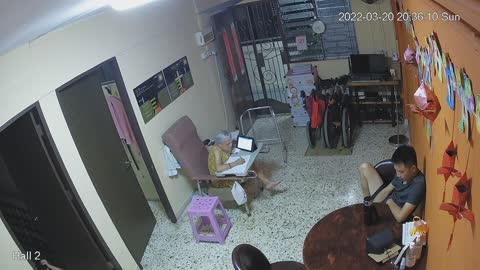 hallback day n night 20220320