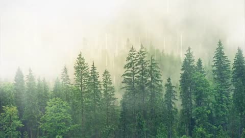 Relaxing rain sounds,Relaxation Music,Meditation Music,Relaxing Sleep Music,Calm soothing sounds
