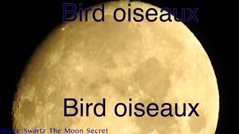 The Secret Moon by bruce Swartz who has secret info about what's on the Moon