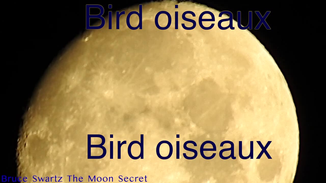 The Secret Moon by bruce Swartz who has secret info about what's on the Moon