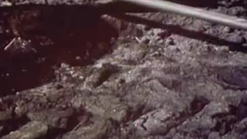 About Fallout (1963)