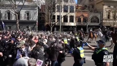 Aussie Fightback