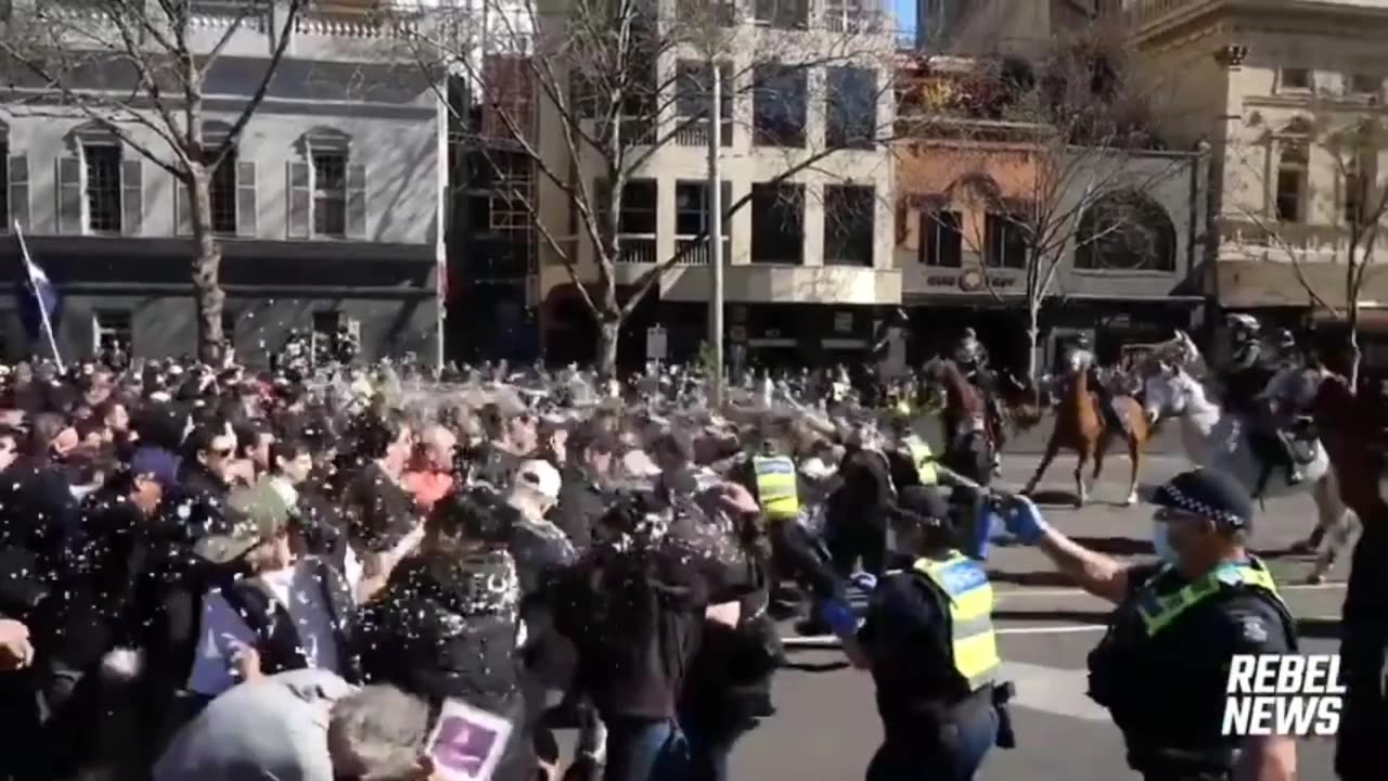 Aussie Fightback