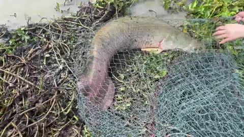 First Time Girl Cast Net Fishing DEFEATED By MONSTER Fish!-9