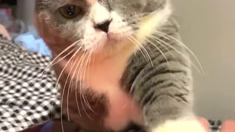 Cute 🥰 , don't make me angry, oke ?