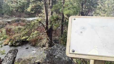 The Magical Deschutes River Trail – Central Oregon – 4K