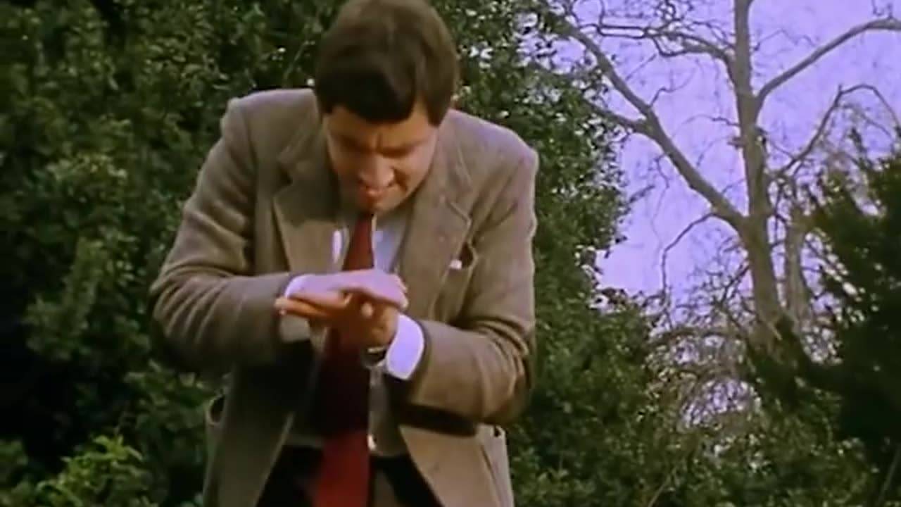 Mr. Bean's Ride on Roller-coaster | Funny video