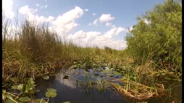 Airboat In Everglades - Introductory Video USA