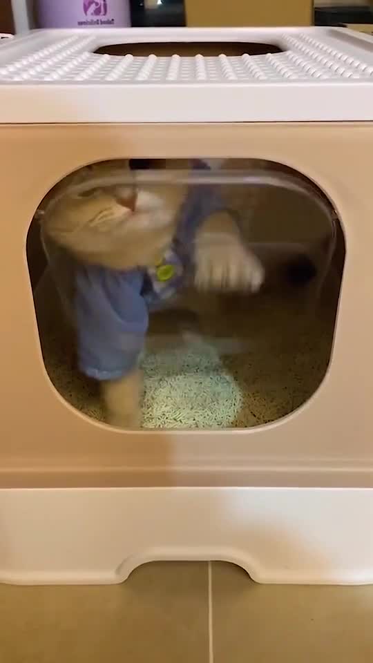 It’s not the ideal that wakes me up every day,it’s it