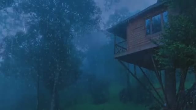 Rain for a minute to get more relax …