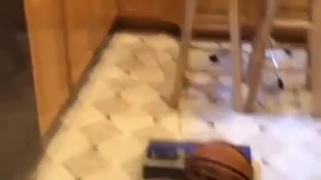 THE ULTIMATE BORED IN THE HOUSE
