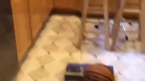 THE ULTIMATE BORED IN THE HOUSE