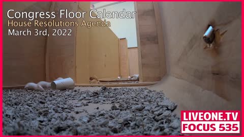 The Capitol Mouse House - Congressional Affairs Game Changer from LIVEONE.TV New York HQ