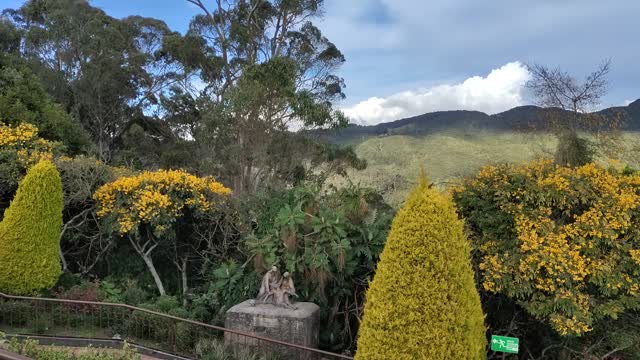 Bird watching in Colombia, 2021. Every region in Colombia has bird watching watching