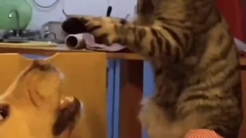 Actually, they are good friends.