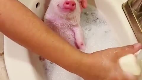Shower time