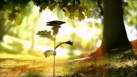 AWAKENING