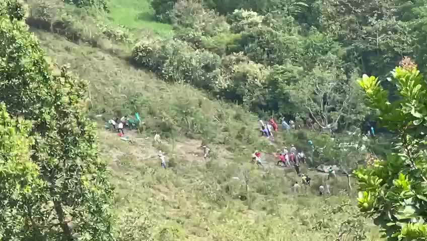 Buseta de transporte escolar, repleta de niños, cayó a un abismo en Santander
