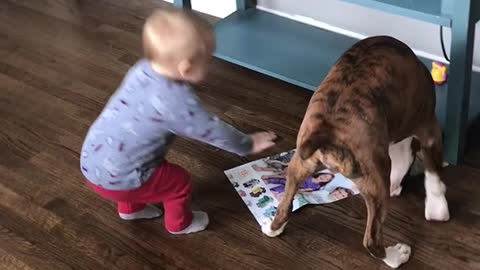 A Boy and His Dog
