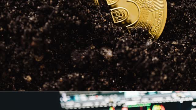 A Historically Accurate Indicator Suggests BTC in New Phase